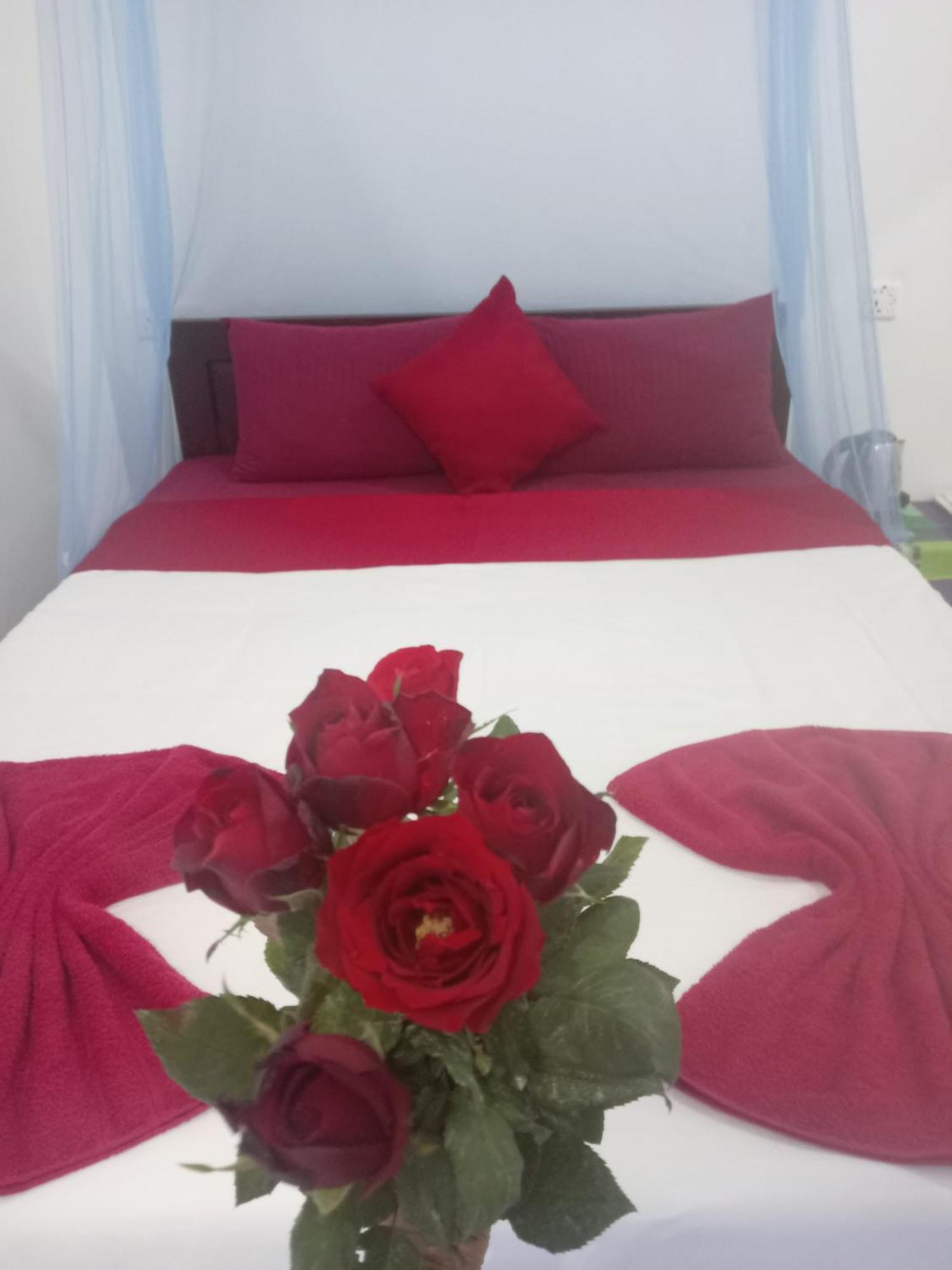 Apartament Nine Arch Corner Ella Zewnętrze zdjęcie