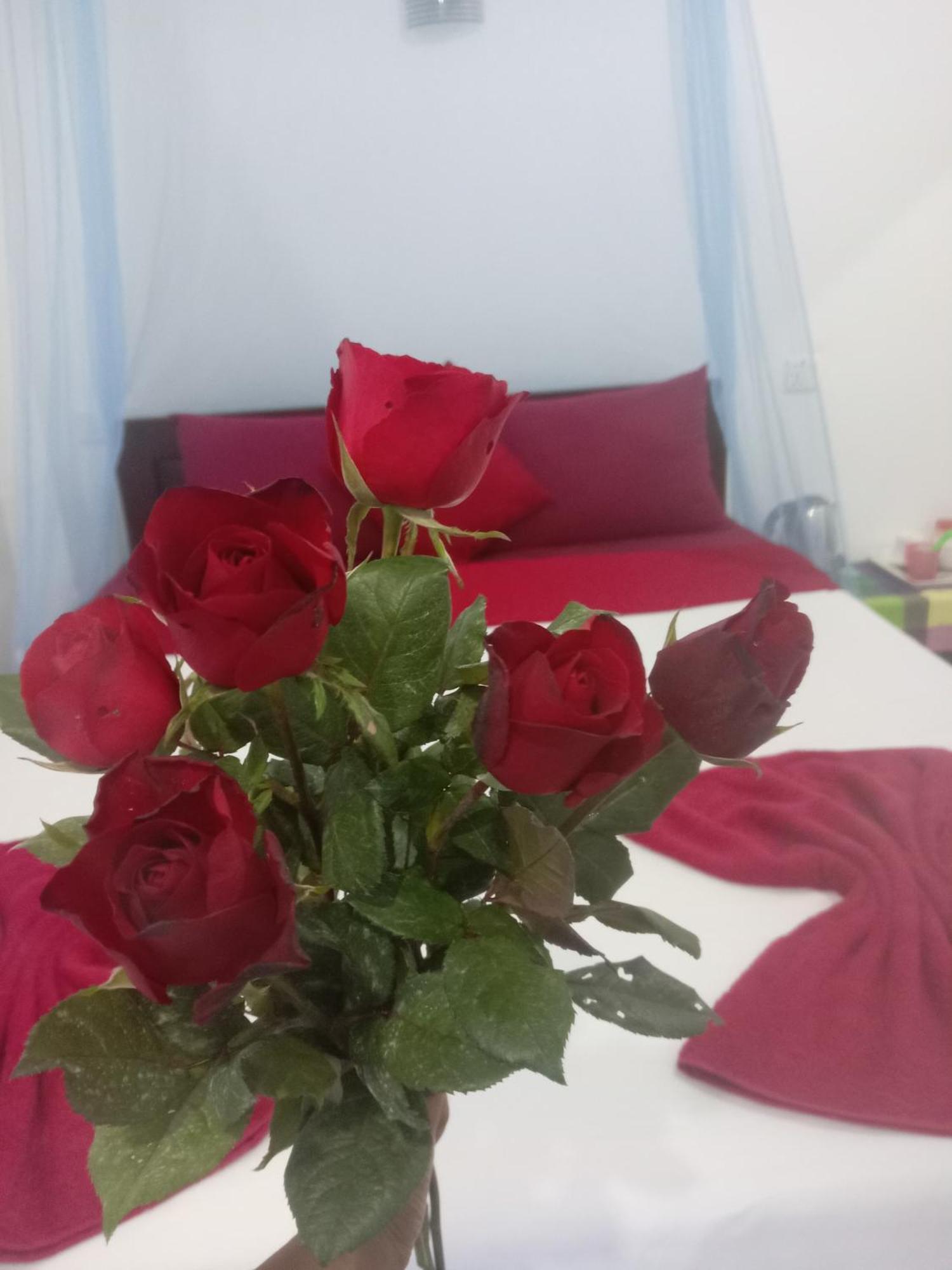 Apartament Nine Arch Corner Ella Zewnętrze zdjęcie